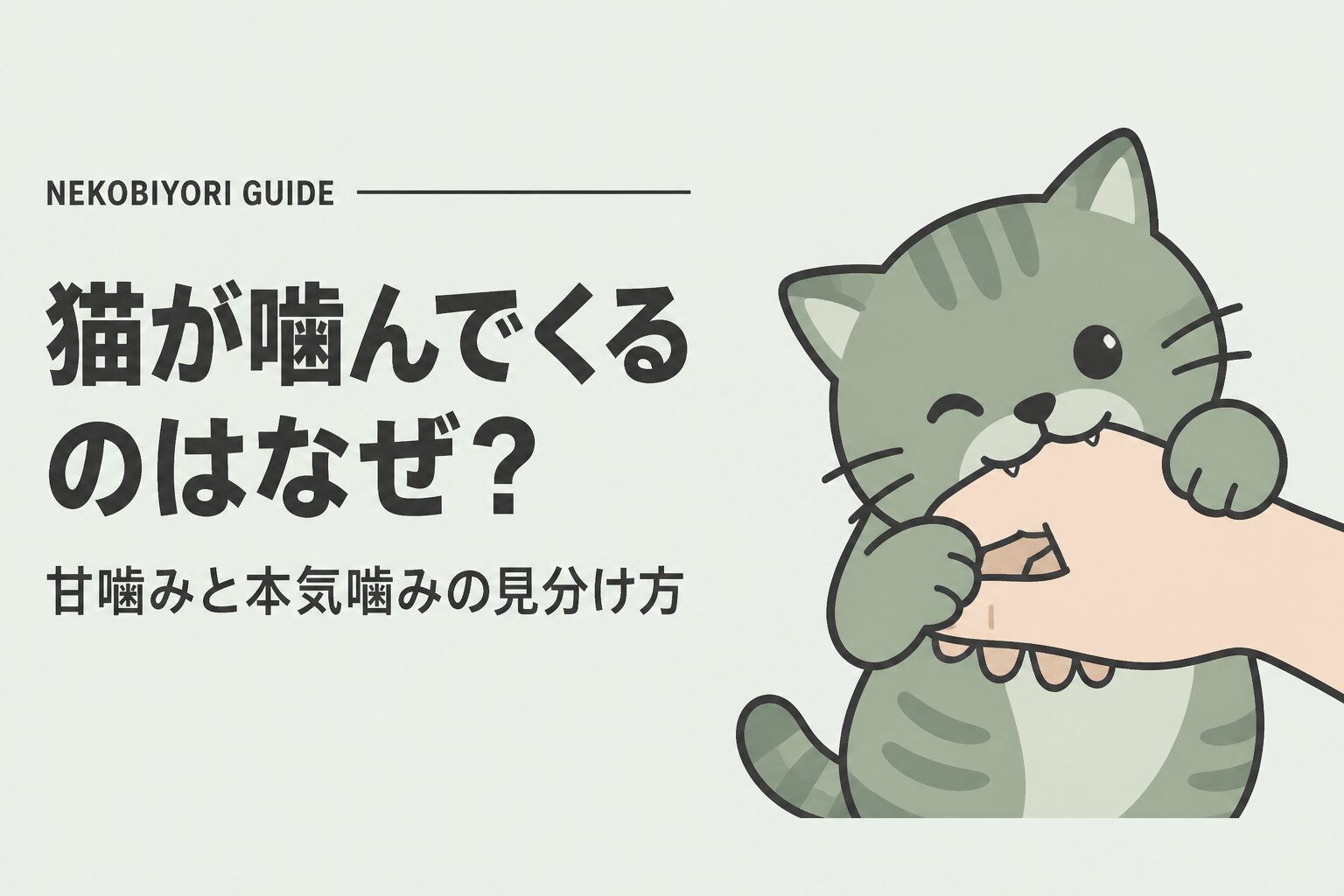 猫が噛んでくるのはなぜ？甘噛みと本気噛みの見分け方と対処法