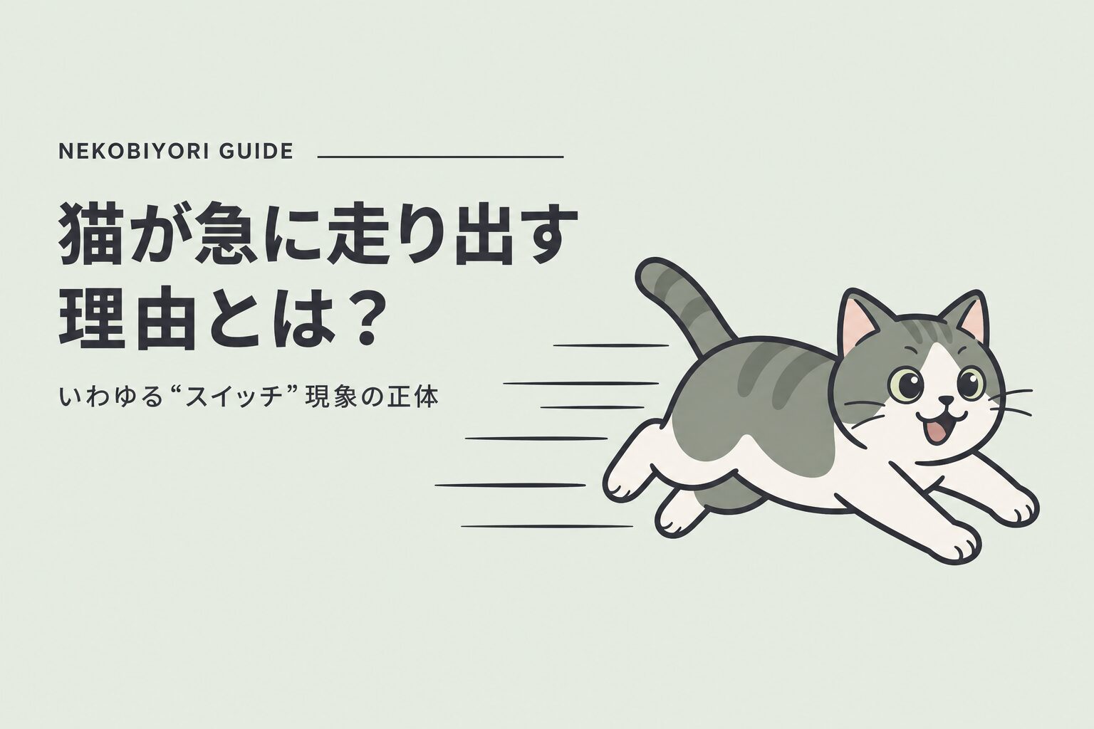 猫が急に走り出す理由とは？いわゆる“スイッチ”現象の正体